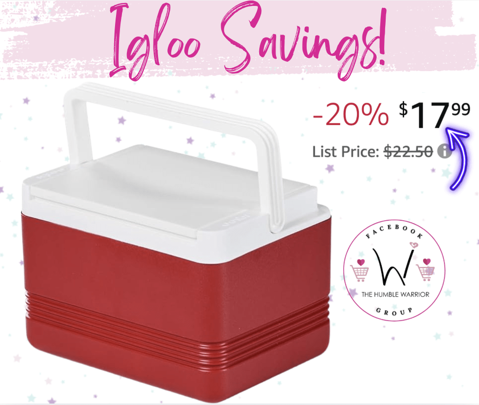 Igloo 6 Can Cooler!